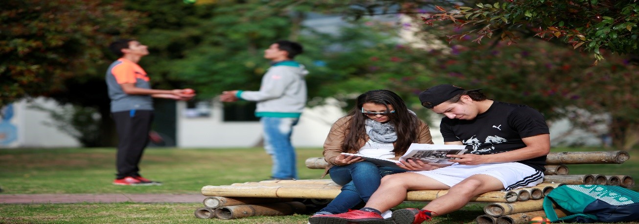 dos estudiantes leyendo y dos estudiantes jugando con unas pelotas.